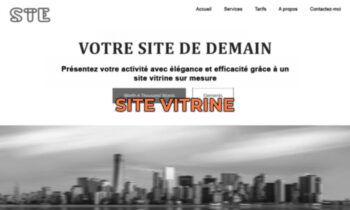 Exemple de site vitrine professionnel